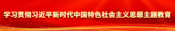 女人的逼可不可以用520胶粘上学习贯彻习近平新时代中国特色社会主义思想主题教育